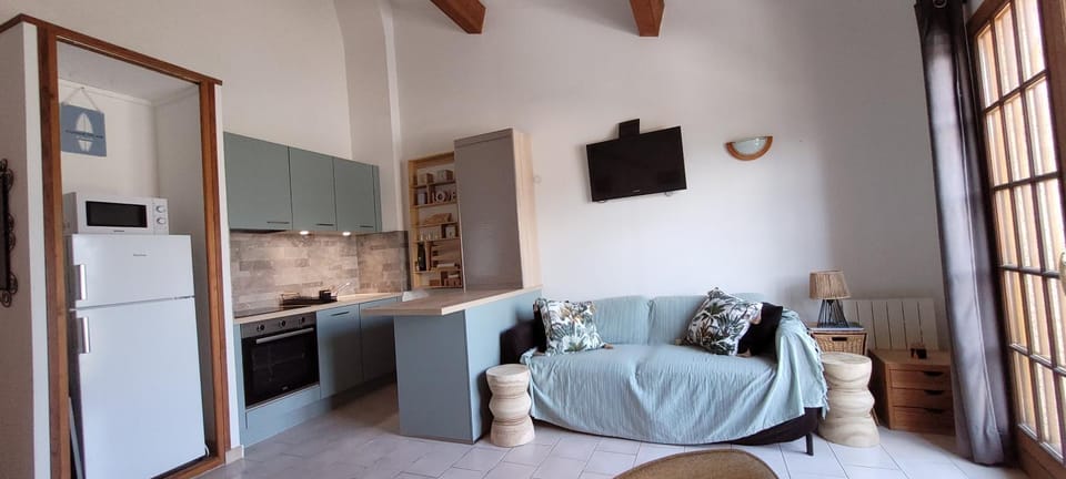 TV and multimedia, Kitchen or kitchenette, Living room, Seating area, oven, pet friendly, stove