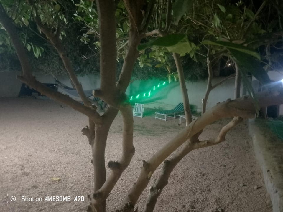 villa Flor Midoun Apartment in Tunisia