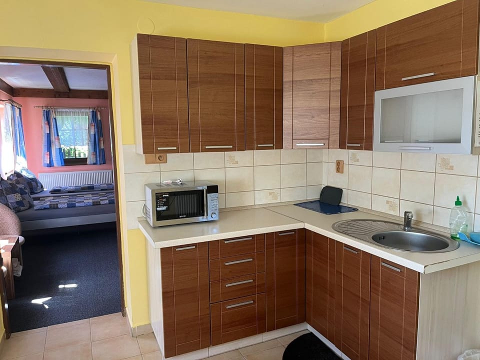 Penzion a restaurace Balaton Apartment in Saxony
