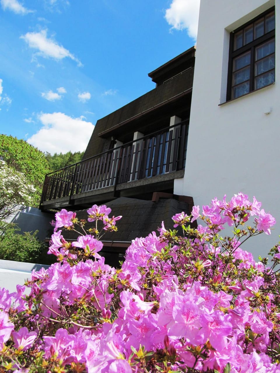 Starý mlýn - Hotel Penzion Apartmány v Českém ráji Bed and Breakfast in Lower Silesian Voivodeship