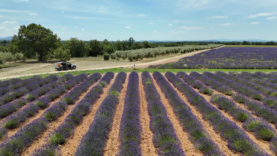 Suite piscine Bed and Breakfast in Valensole