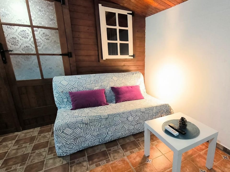 TV and multimedia, Living room, Seating area, pet friendly
