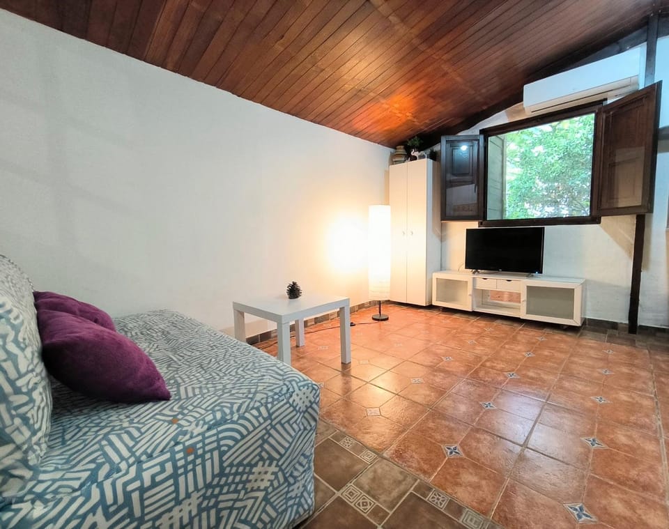 TV and multimedia, Living room, Seating area, pet friendly