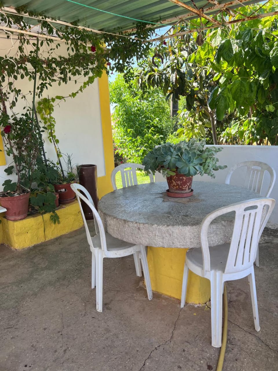 Casa da avó Delmira Chalet in Faro District