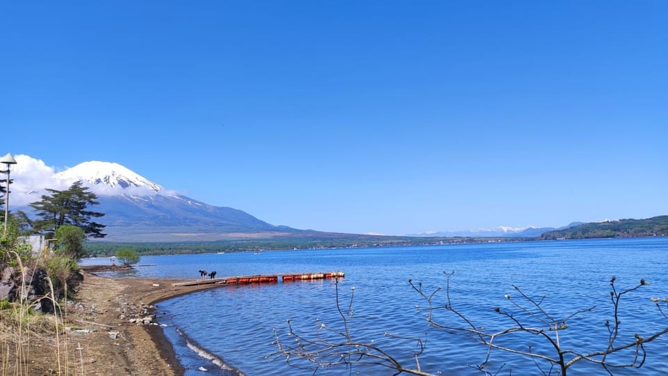 Lake view