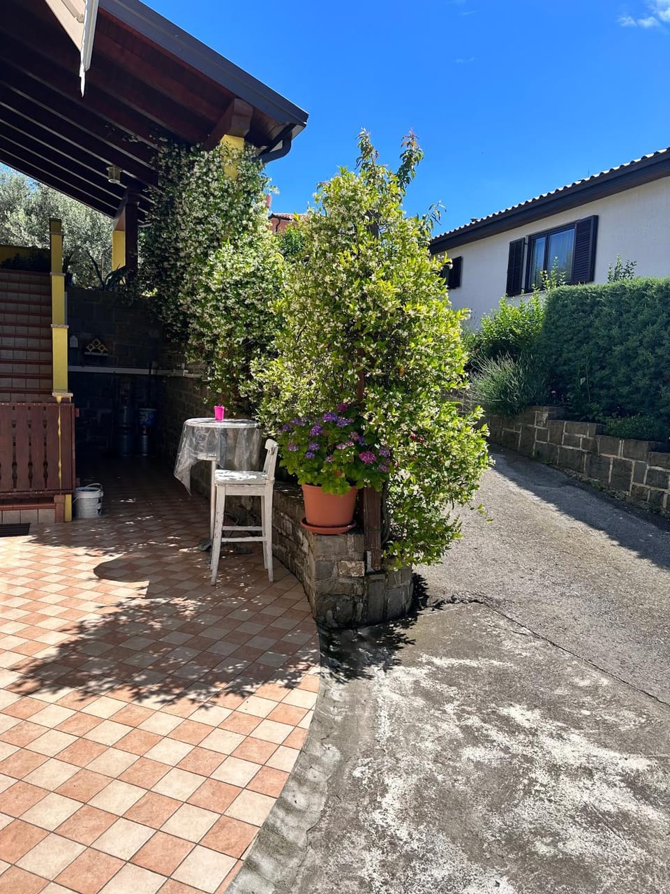 Day, Garden view