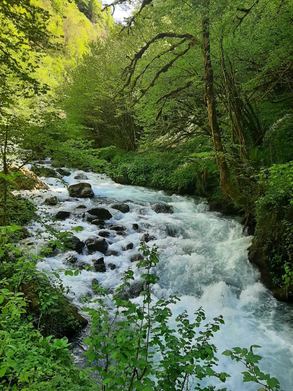 Spring, Day, Natural landscape, Mountain view, River view