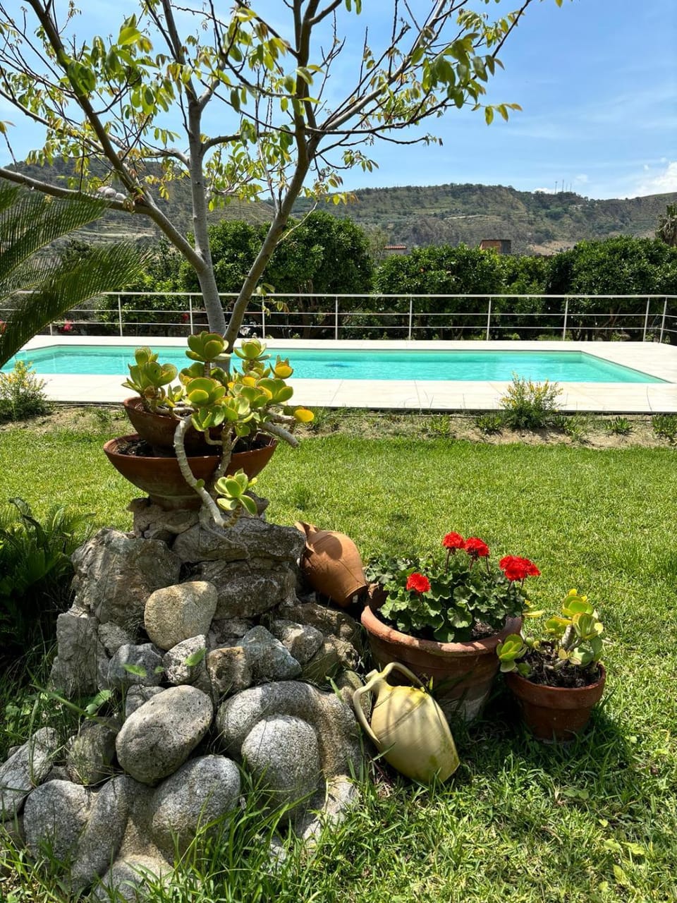 Day, Garden, Garden, Garden view, Pool view, Swimming pool