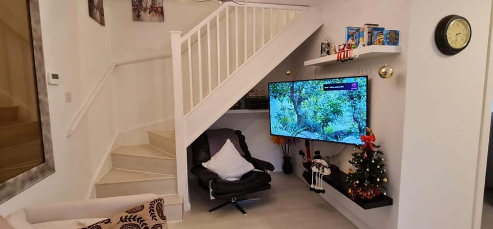 TV and multimedia