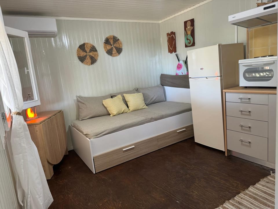 Kitchen or kitchenette, pet friendly, air conditioner