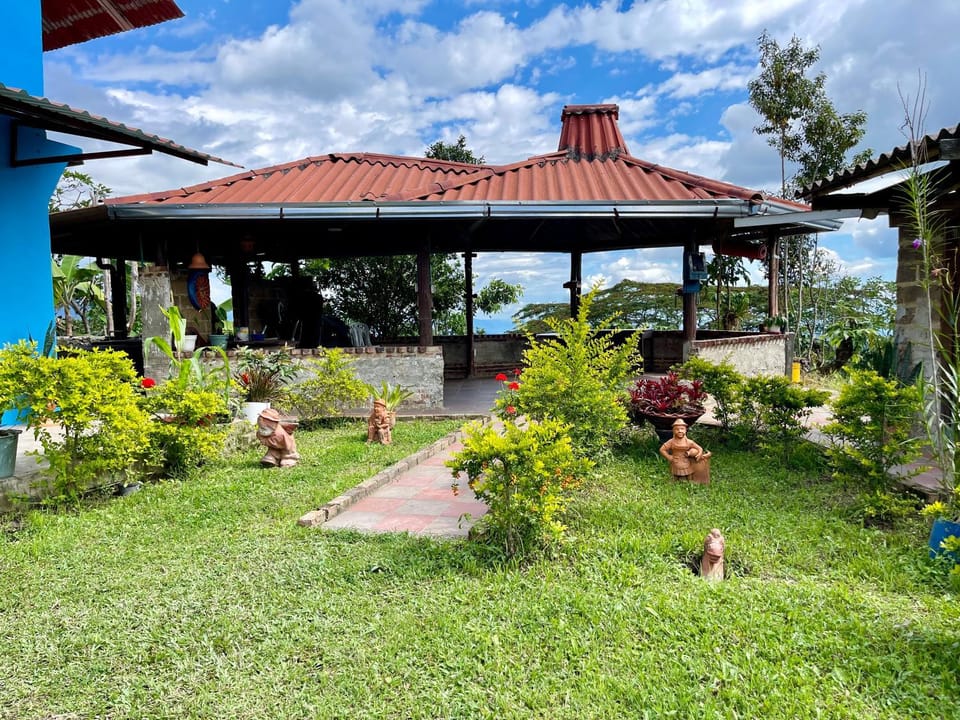 Garden view