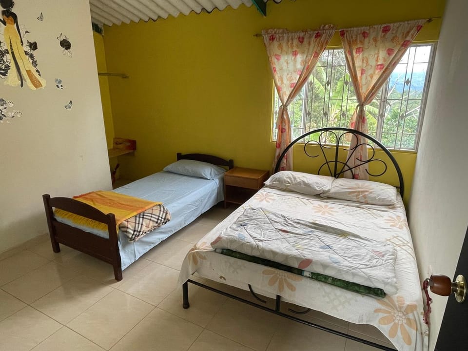 Bed, Photo of the whole room