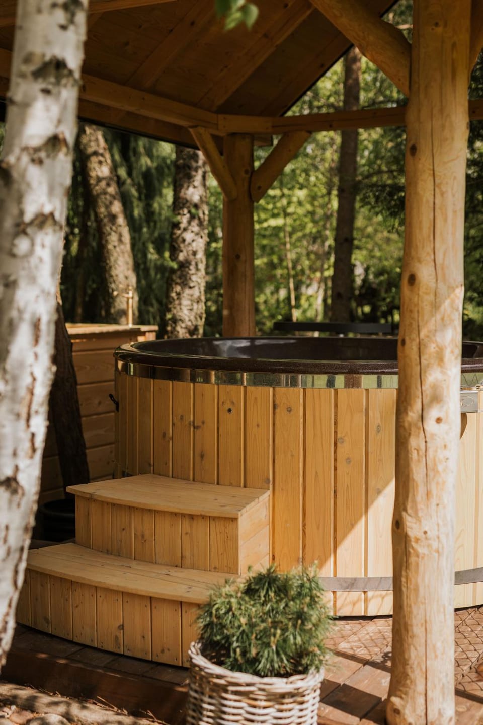 Dworek Biebrzański Bed and Breakfast in Poland