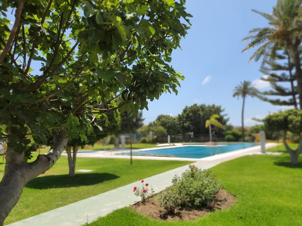 Property building, Swimming pool