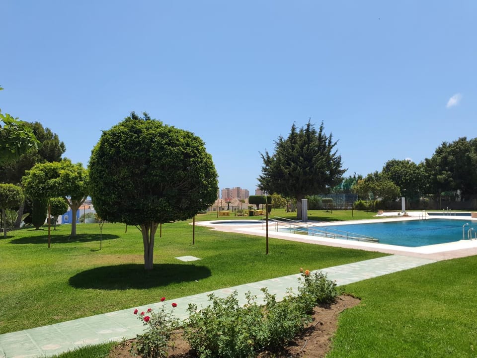 Garden, Pool view, Swimming pool