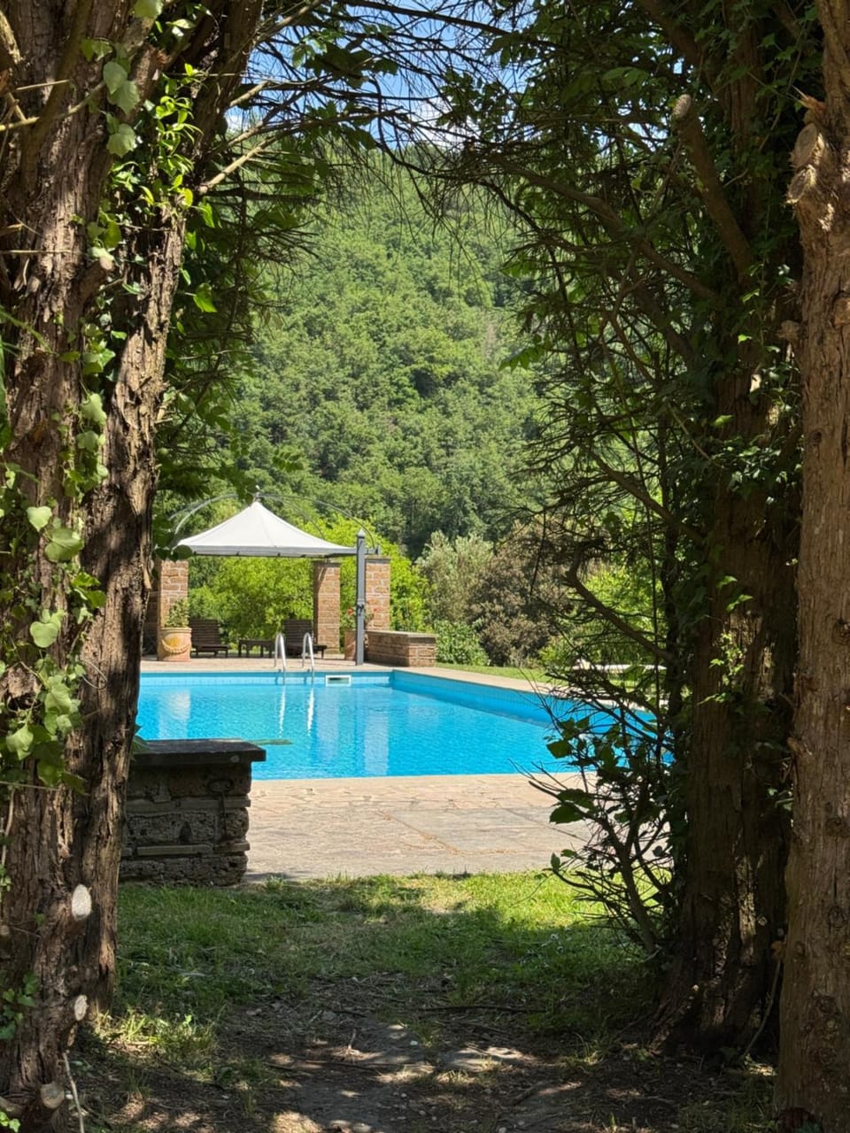Pool view, Swimming pool