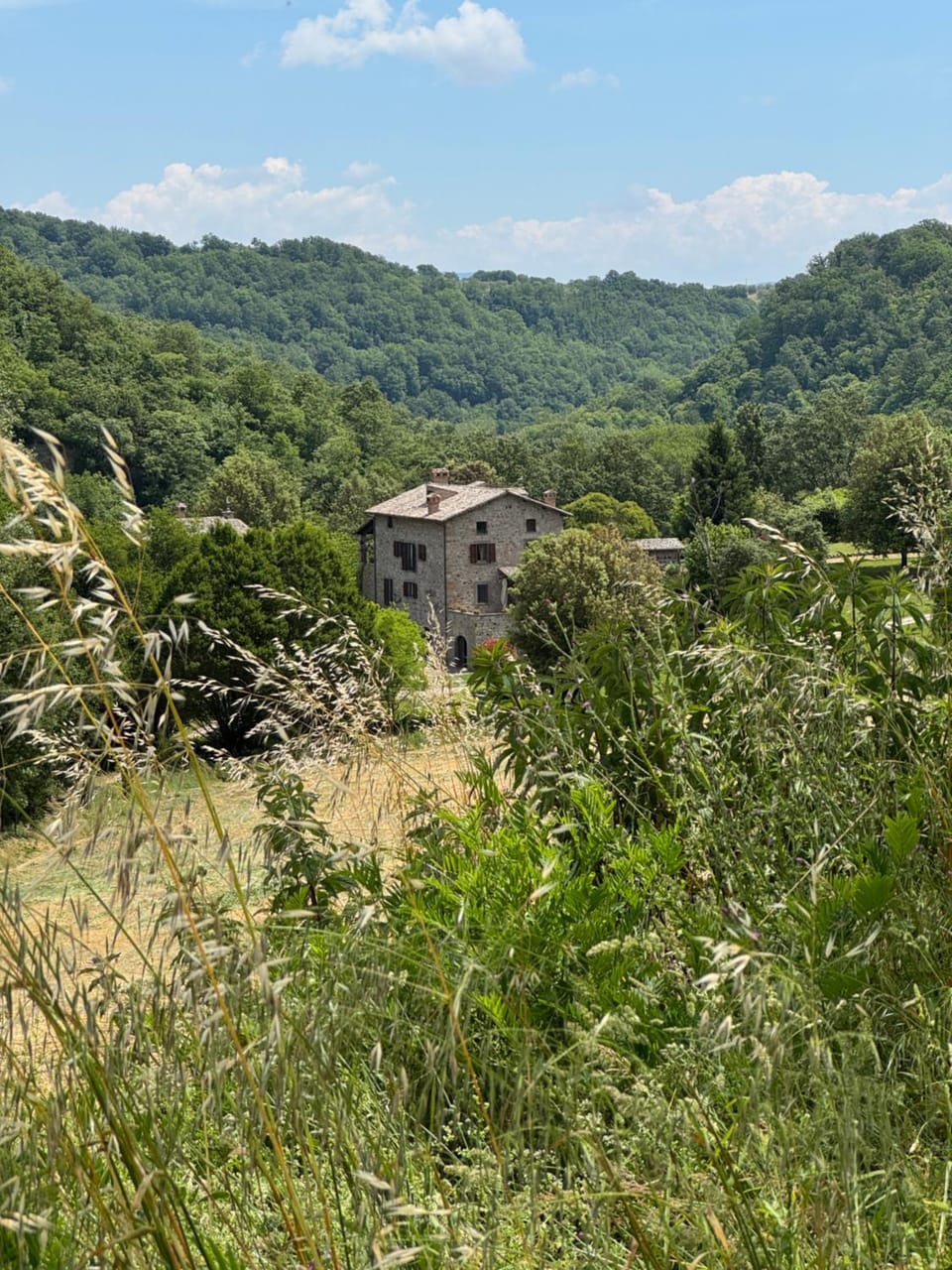 Property building, Natural landscape