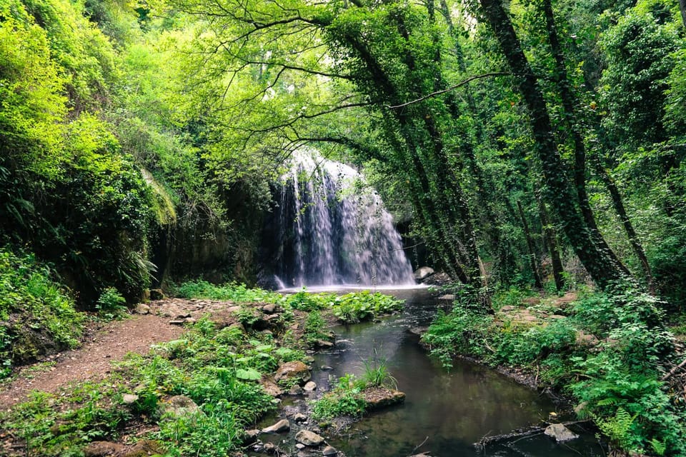 Natural landscape, River view