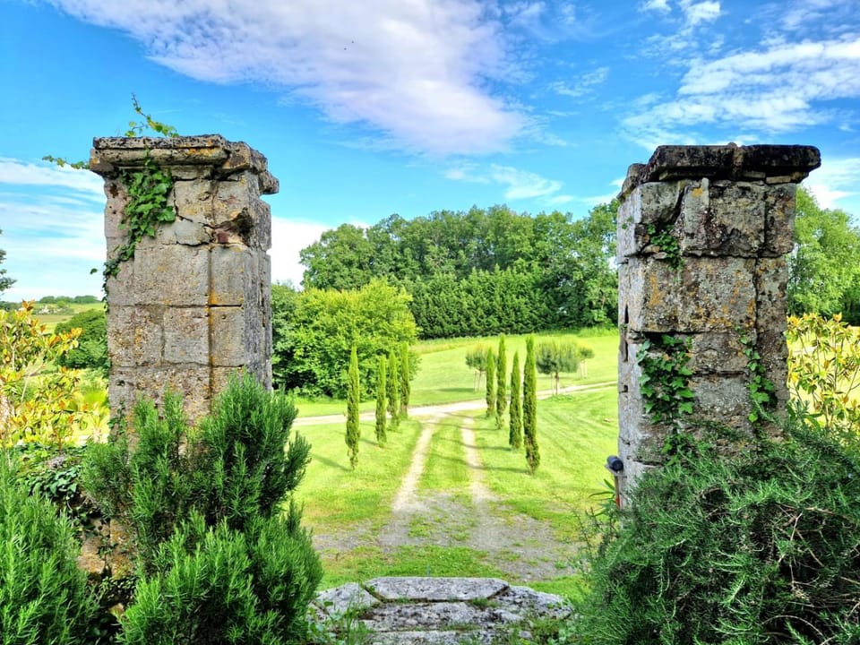 Natural landscape, Garden, Garden view