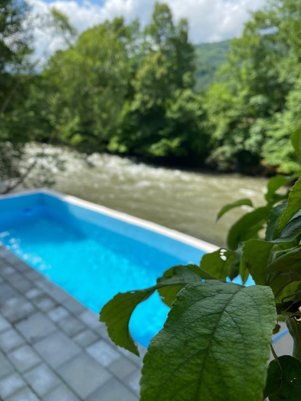 Natural landscape, Pool view, River view, Swimming pool