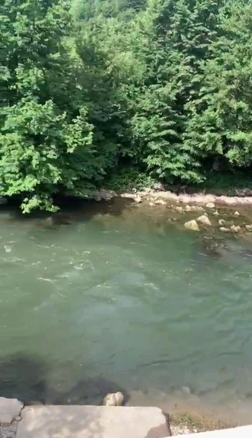 River view