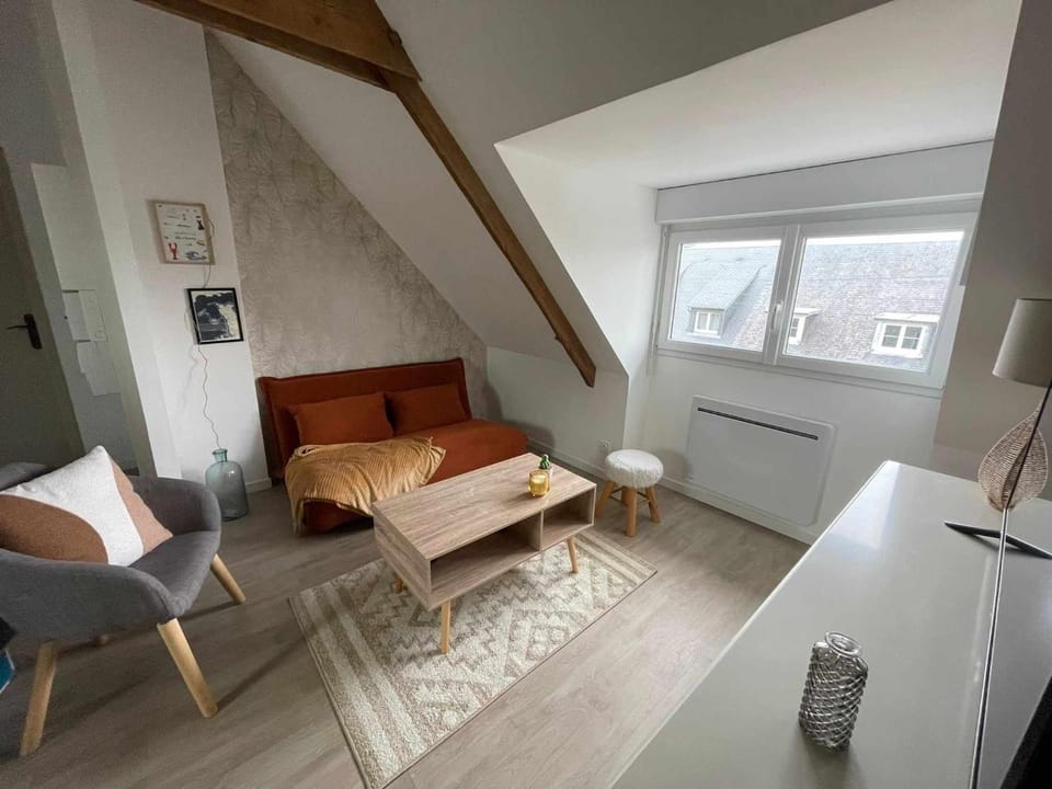 Appartement cosy centre ville Apartment in Brittany