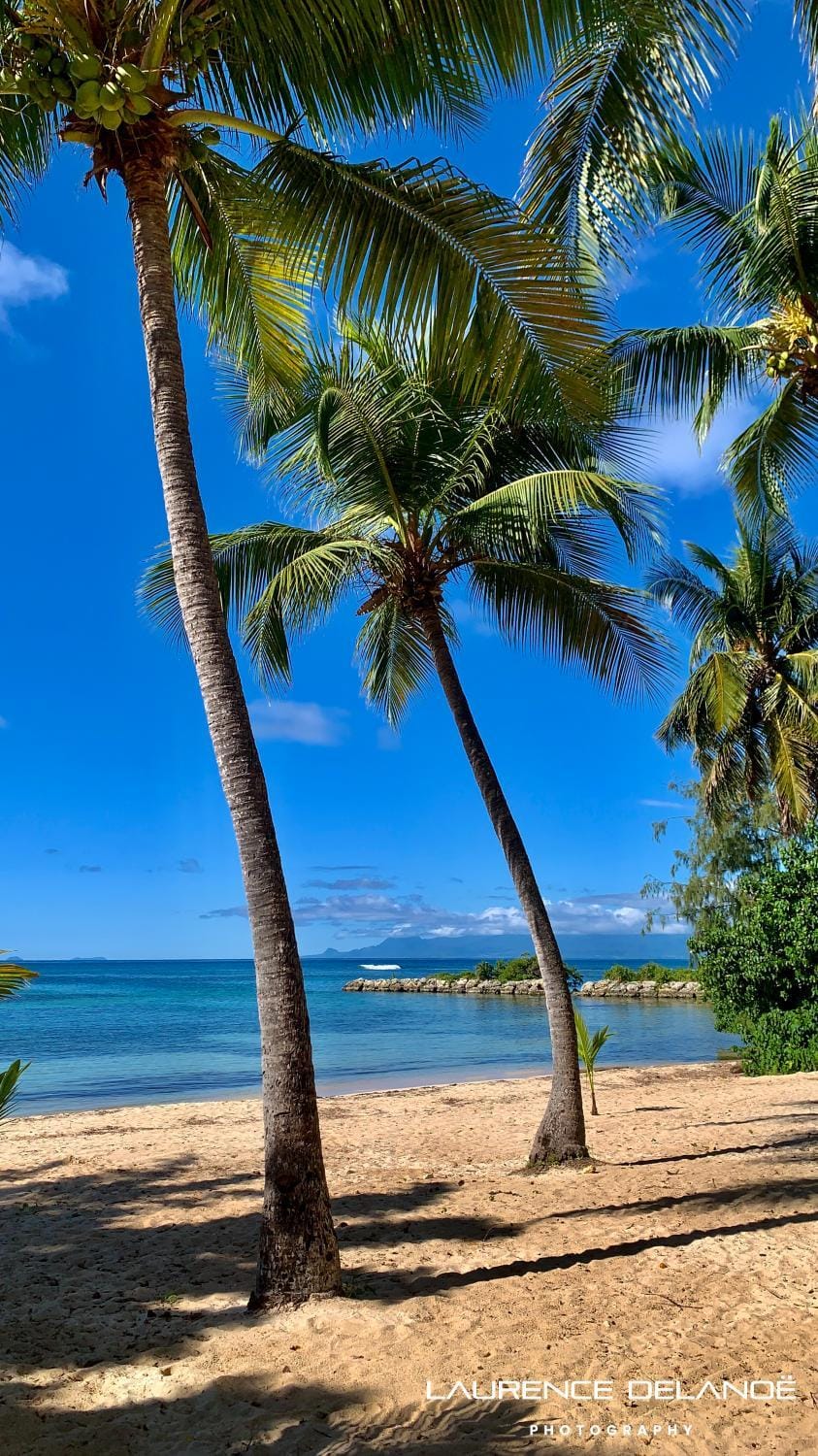 Ti Paradise Là Apartment in Grande-Terre, Guadeloupe