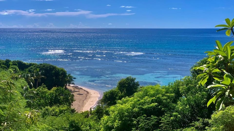 Ti Paradise Là Apartment in Grande-Terre, Guadeloupe