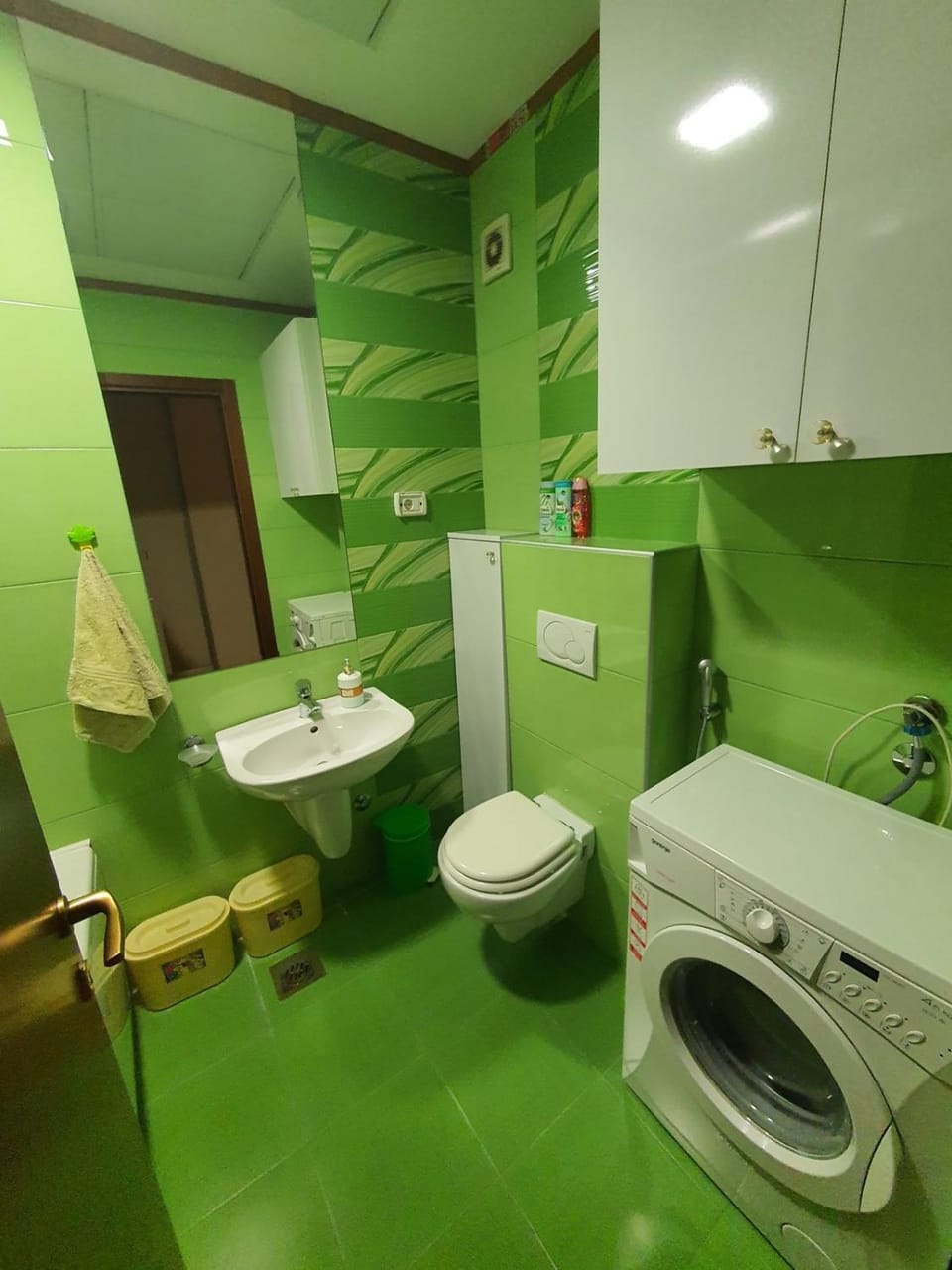 Toilet, washing machine