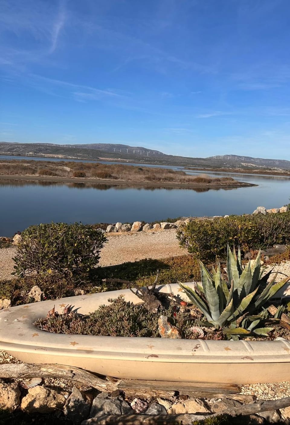 Lake view