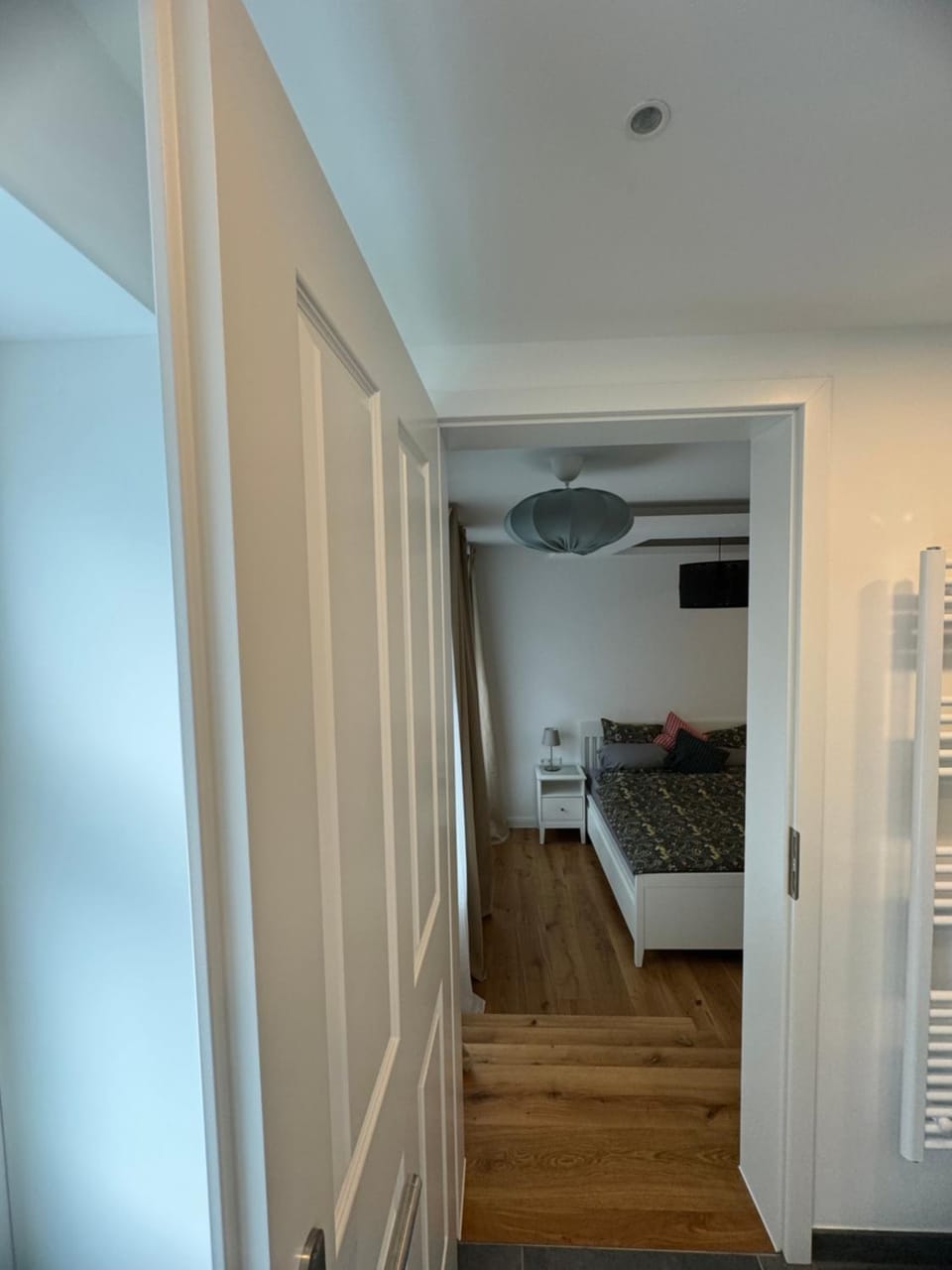Boutique Hotel Pension Luisengrün Küche 1Gbs WLAN Netflix Disney MagentaTV Bed and Breakfast in Chemnitz