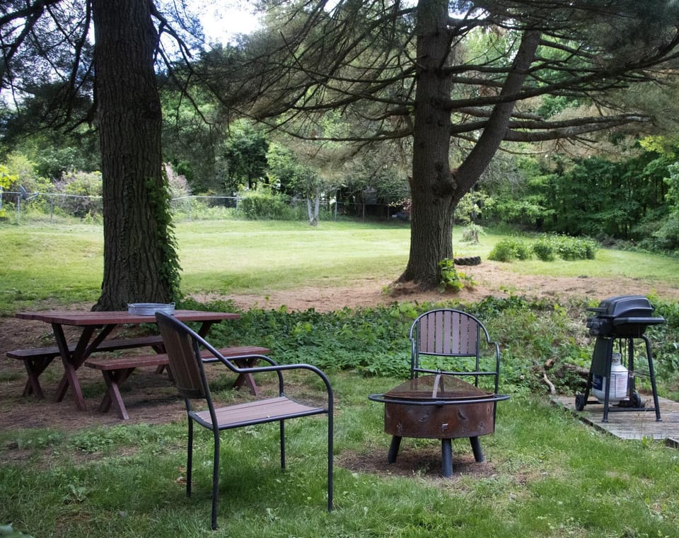 Day, Natural landscape, Garden, Garden view