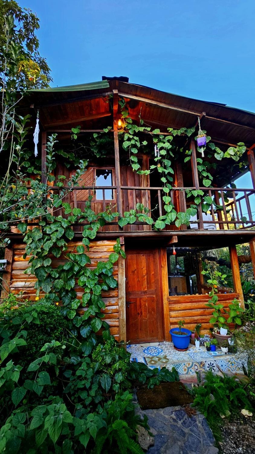 Beehouse Mandala House in Antioquia