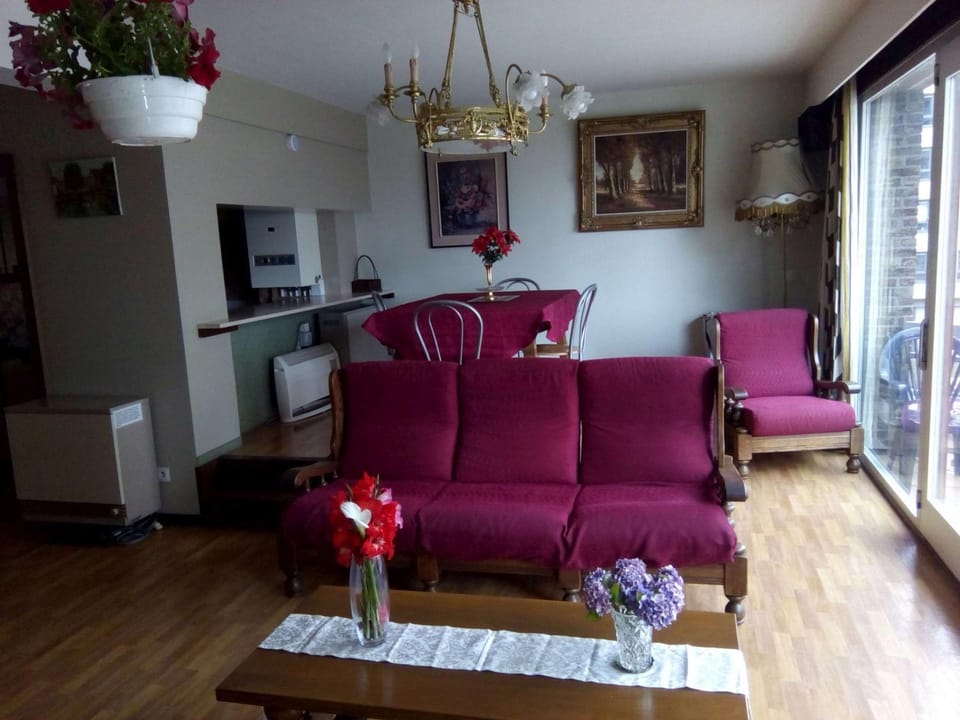 Ruim 2 slaapkamer Appartement met Zeezicht in Blan kenberge, privé Parking mogelijk Apartment in Flanders
