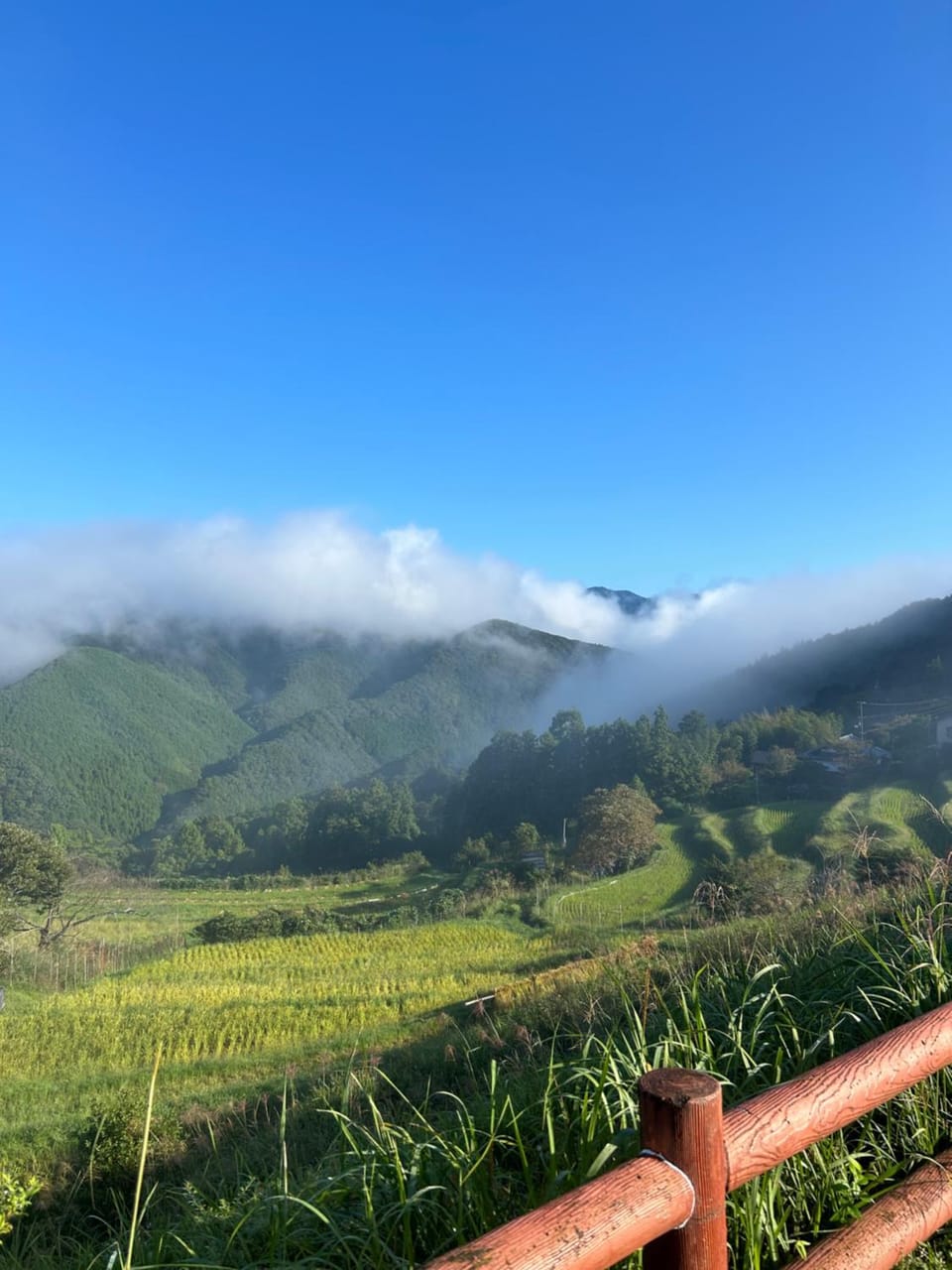 Natural landscape, Mountain view