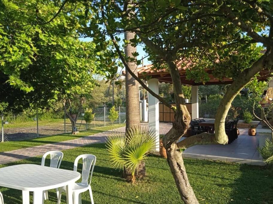 Patio, Spring, Day, Natural landscape, Garden, Dining area, Garden view