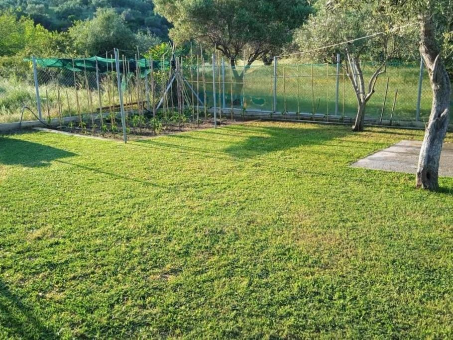 Spring, Day, Natural landscape, Garden, Garden view