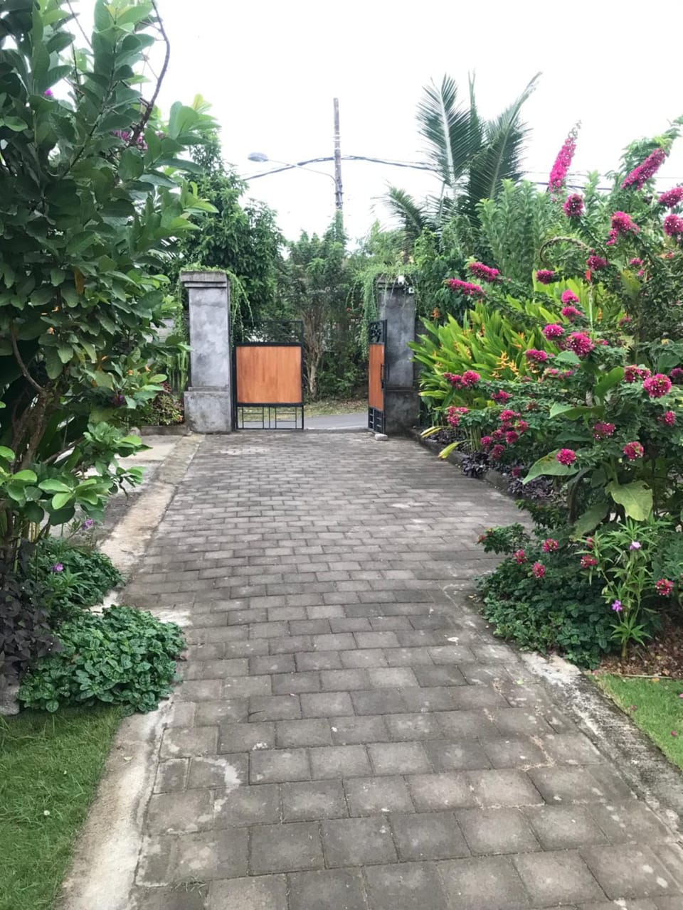 Garden view