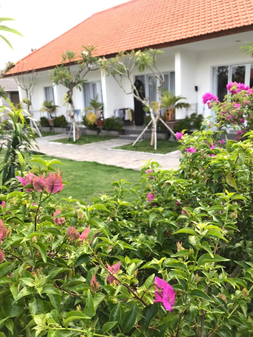 Property building, Spring, Garden, Garden view