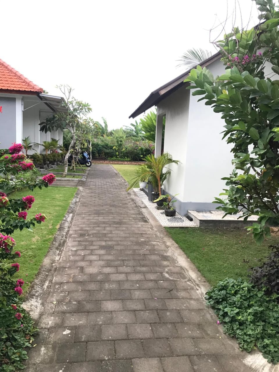Property building, Garden view