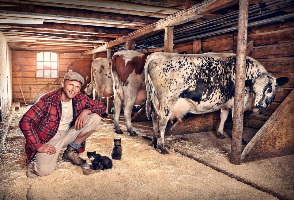 Animals