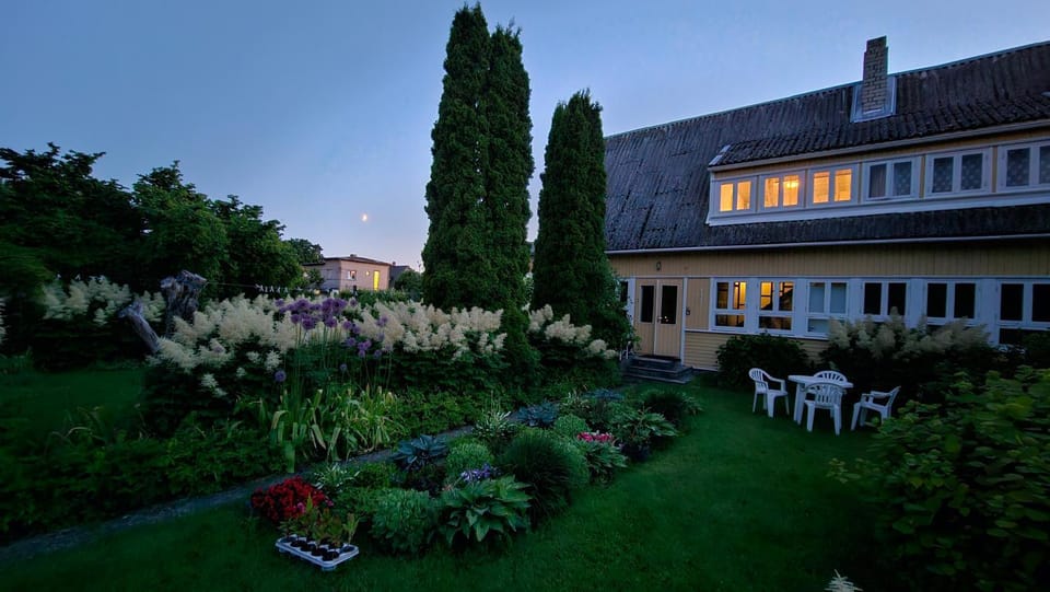 Garden view