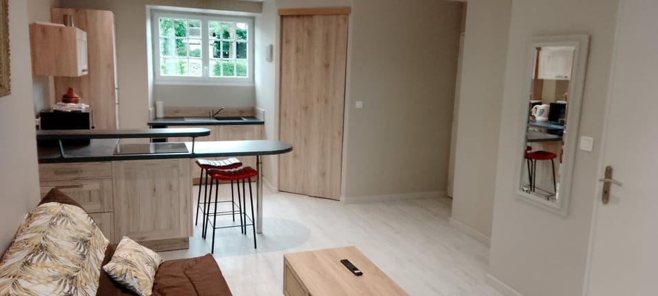 Kitchen or kitchenette, Living room, Seating area, Dining area, oven, stove