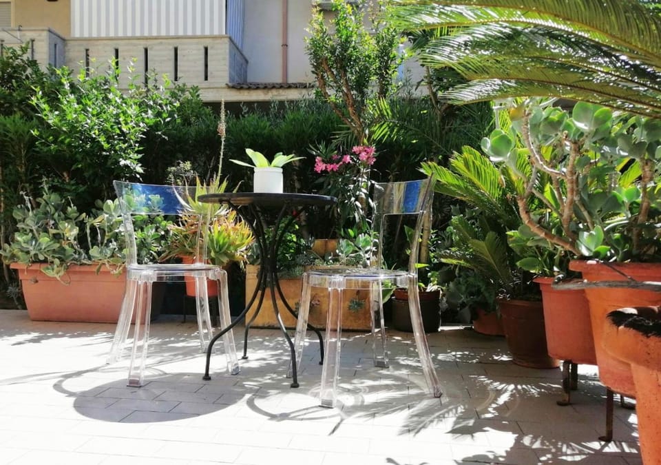 Day, Garden, Garden view
