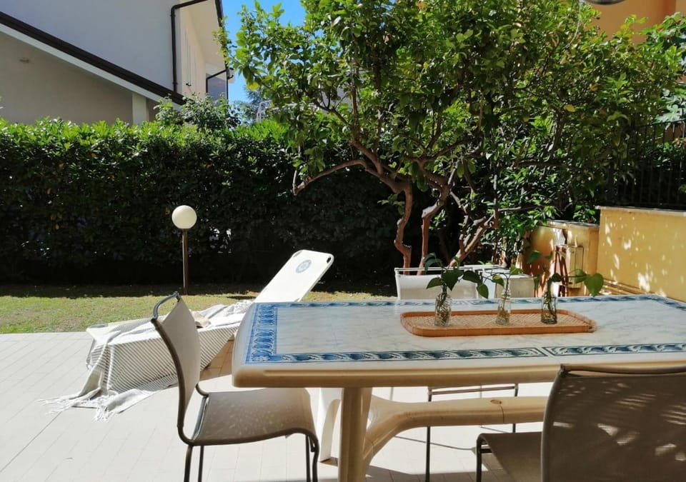 Garden, Garden, Garden view