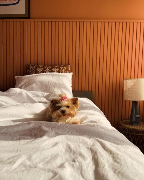 Bedroom, Pets
