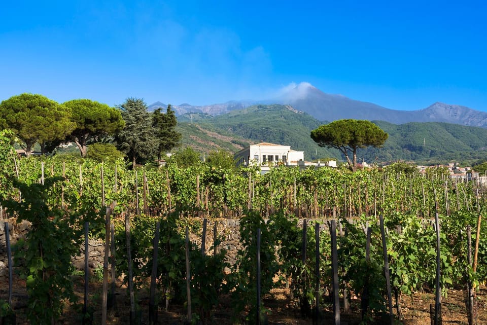 Natural landscape, Mountain view