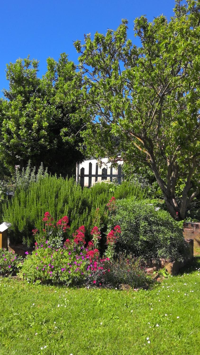Restaurant/places to eat, Natural landscape, Spa and wellness centre/facilities, Garden view, Breakfast, Location, Parking