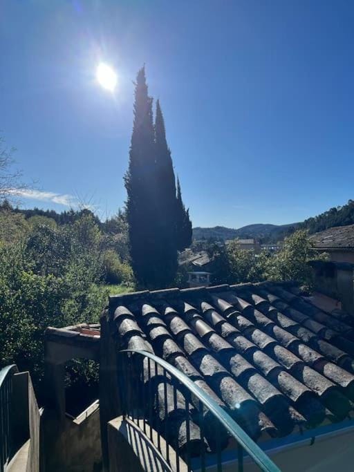 Maison cévenole typique et son jardin suspendu House in Occitanie