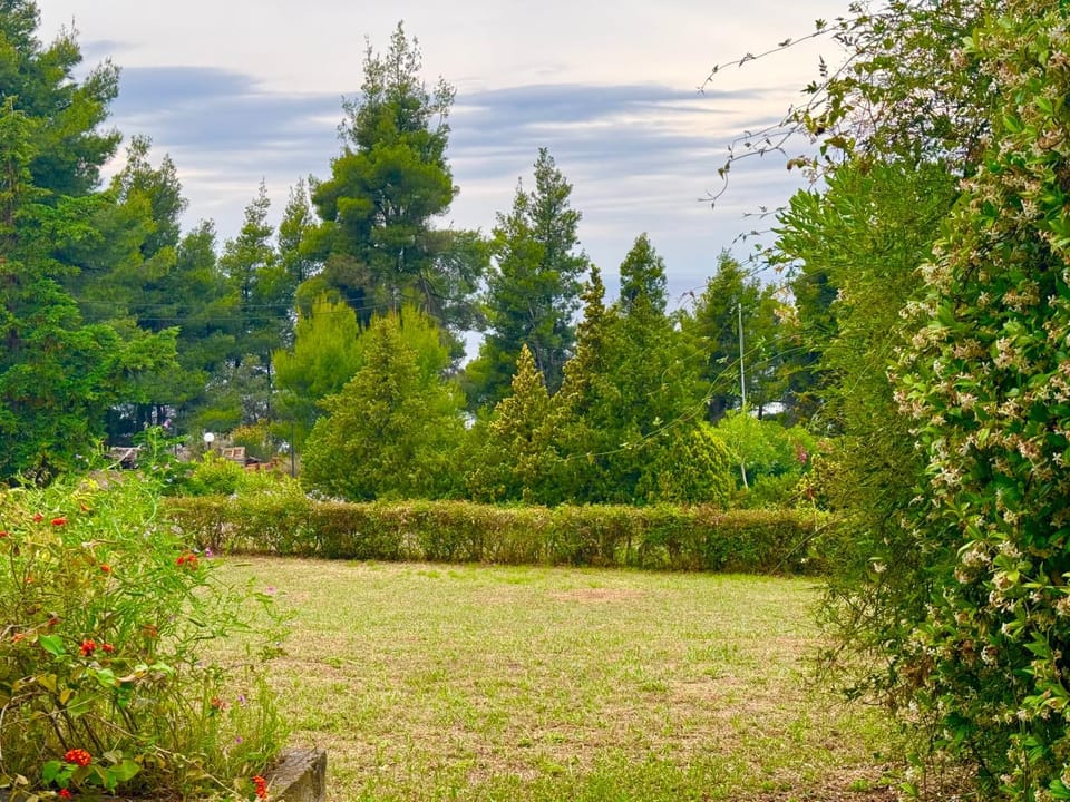 Day, Natural landscape, Garden, Garden view